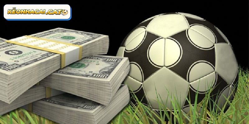 Chia sẻ một số kinh nghiệm chơi kèo cược đồng banh