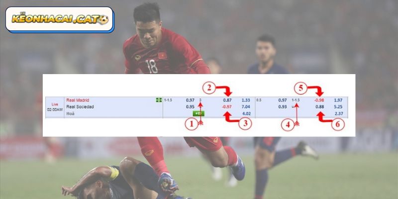 Lý do nên tìm hiểu về cách đọc kèo bóng đá