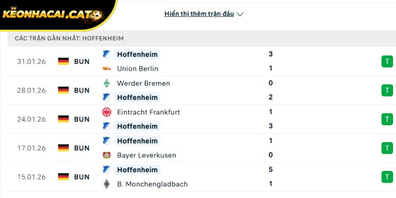 Phong độ của Hoffenheim