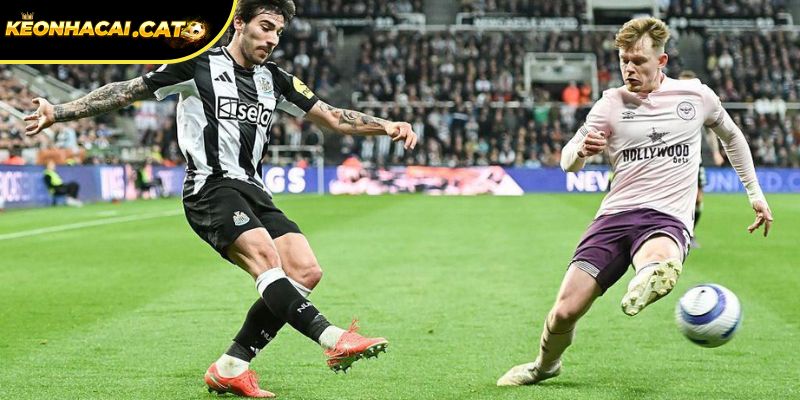Soi kèo Newcastle vs Brentford chi tiết