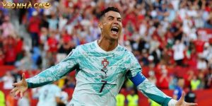 Thành tích Bồ Đào Nha World Cup