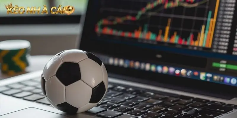 Cẩm nang đọc vị kèo rung trực tiếp ít ai biết